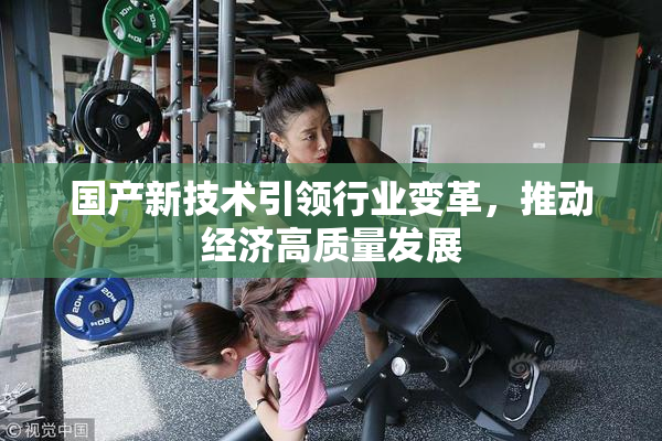 国产新技术引领行业变革，推动经济高质量发展