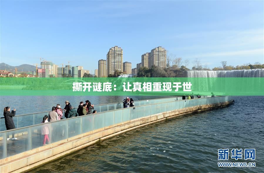 撕开谜底：让真相重现于世