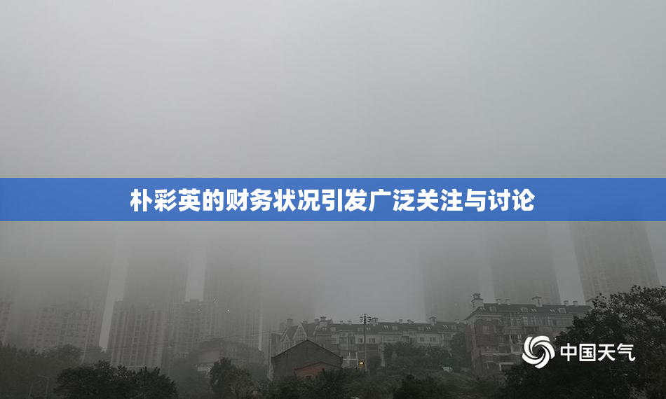 朴彩英的财务状况引发广泛关注与讨论