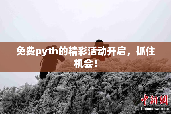 免费pyth的精彩活动开启，抓住机会！