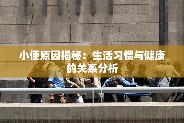 小便原因揭秘：生活习惯与健康的关系分析