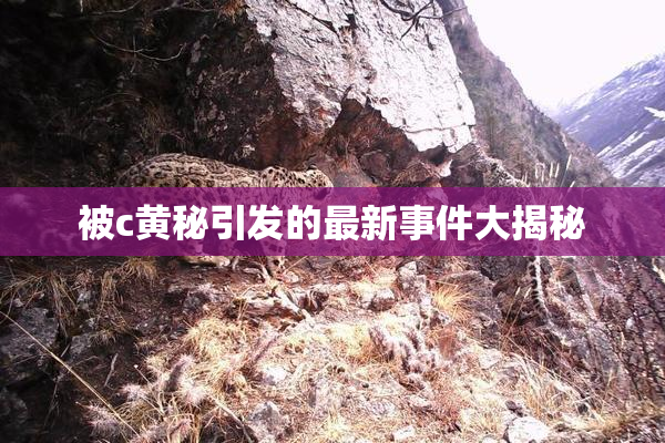 被c黄秘引发的最新事件大揭秘