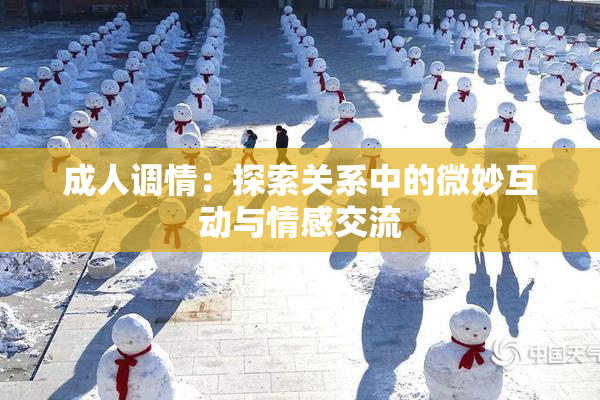 成人调情：探索关系中的微妙互动与情感交流