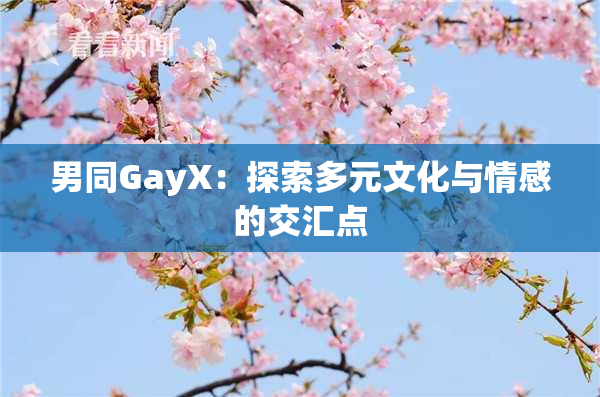 男同GayX：探索多元文化与情感的交汇点