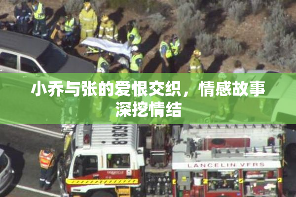 小乔与张的爱恨交织，情感故事深挖情结