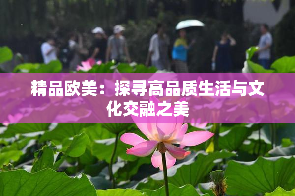精品欧美：探寻高品质生活与文化交融之美