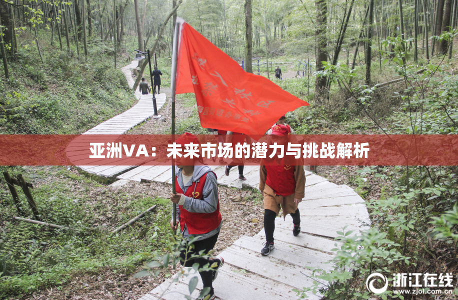 亚洲VA：未来市场的潜力与挑战解析