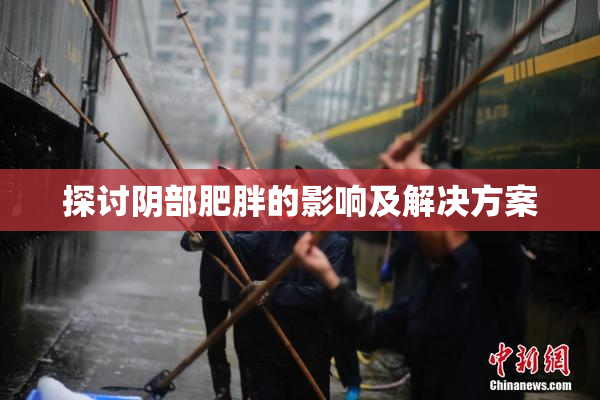探讨阴部肥胖的影响及解决方案