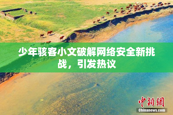 少年骇客小文破解网络安全新挑战，引发热议