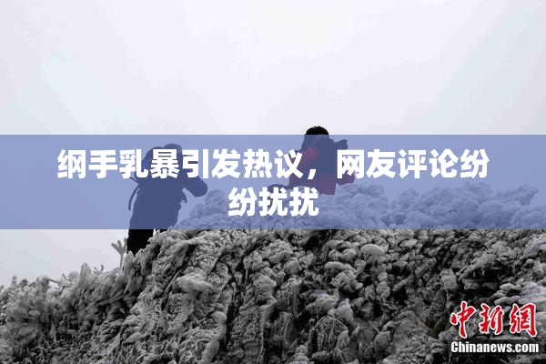 纲手乳暴引发热议，网友评论纷纷扰扰