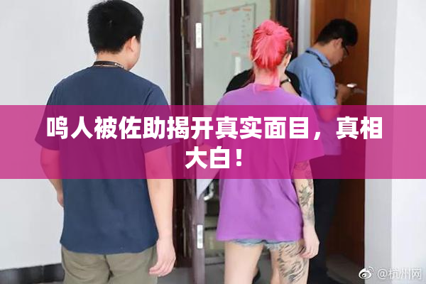鸣人被佐助揭开真实面目，真相大白！