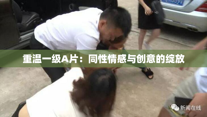 重温一级A片：同性情感与创意的绽放