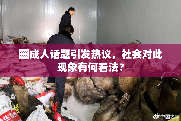 ▓成人话题引发热议，社会对此现象有何看法？