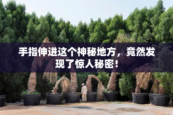 手指伸进这个神秘地方，竟然发现了惊人秘密！