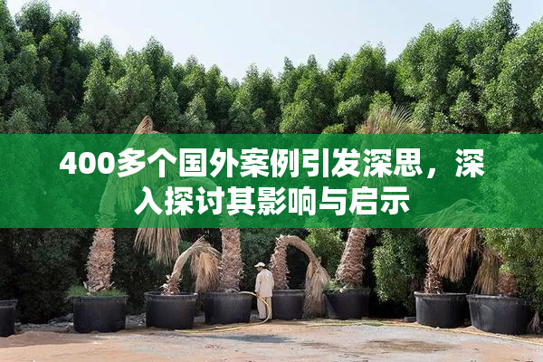 400多个国外案例引发深思，深入探讨其影响与启示