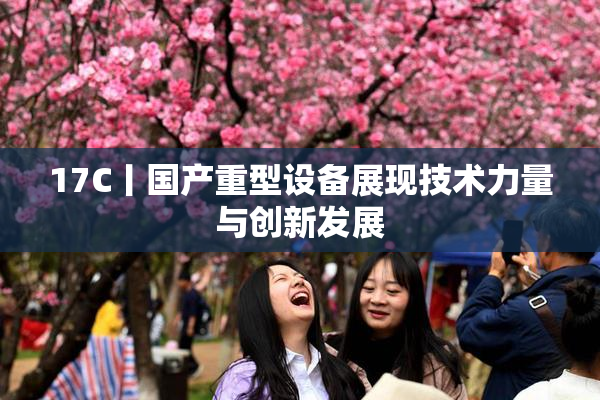 17C丨国产重型设备展现技术力量与创新发展