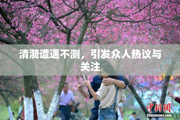 清漪遭遇不测，引发众人热议与关注