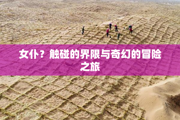 女仆？触碰的界限与奇幻的冒险之旅