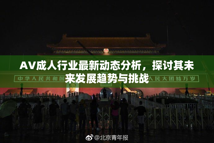 AV成人行业最新动态分析，探讨其未来发展趋势与挑战
