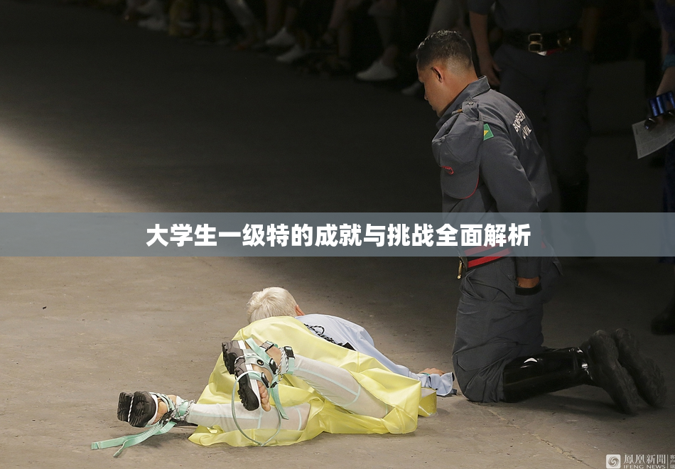 大学生一级特的成就与挑战全面解析