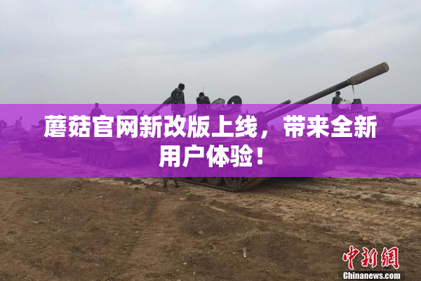 蘑菇官网新改版上线，带来全新用户体验！