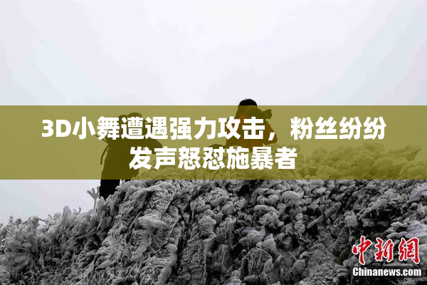 3D小舞遭遇强力攻击，粉丝纷纷发声怒怼施暴者