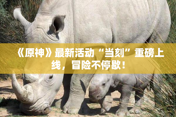 《原神》最新活动“当刻”重磅上线，冒险不停歇！