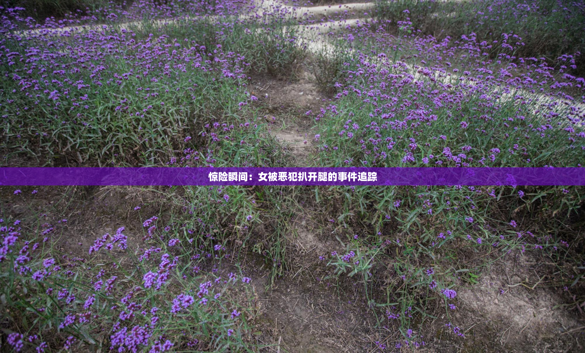 惊险瞬间：女被恶犯扒开腿的事件追踪