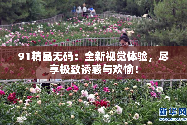 91精品无码：全新视觉体验，尽享极致诱惑与欢愉！