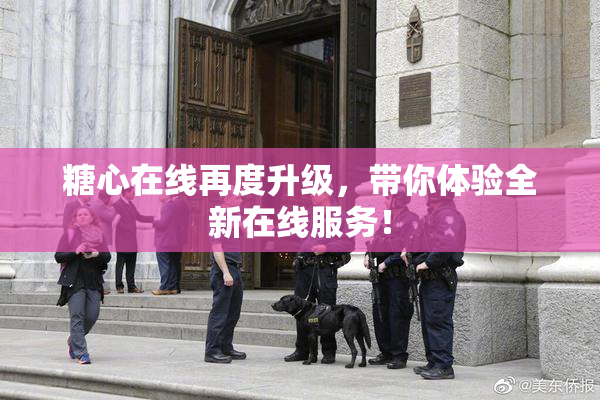 糖心在线再度升级，带你体验全新在线服务！