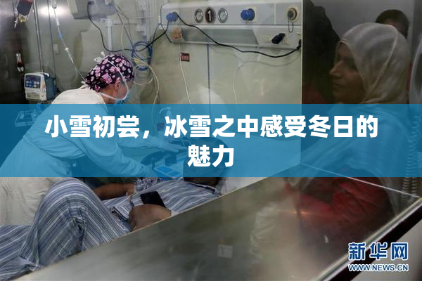 小雪初尝，冰雪之中感受冬日的魅力