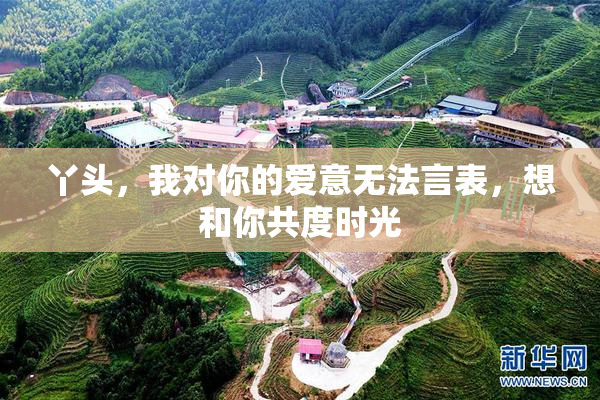 丫头，我对你的爱意无法言表，想和你共度时光