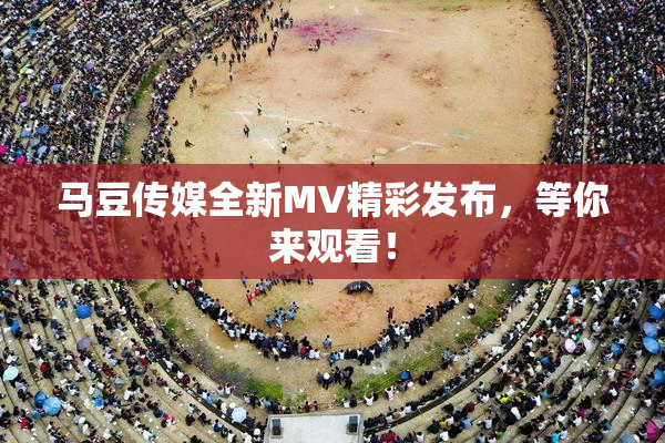 马豆传媒全新MV精彩发布，等你来观看！