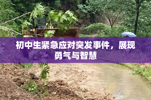初中生紧急应对突发事件，展现勇气与智慧
