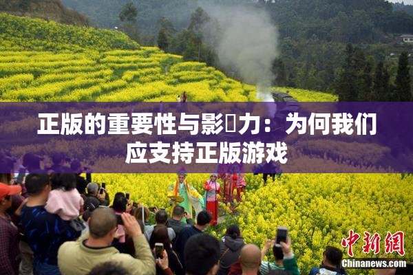 正版的重要性与影響力：为何我们应支持正版游戏
