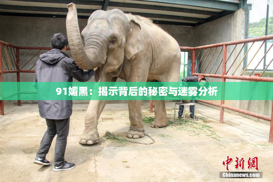 91媚黑：揭示背后的秘密与迷雾分析