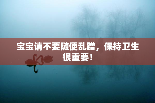 宝宝请不要随便乱蹭，保持卫生很重要！