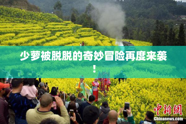 少萝被脱脱的奇妙冒险再度来袭！