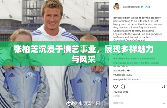 张柏芝沉浸于演艺事业，展现多样魅力与风采