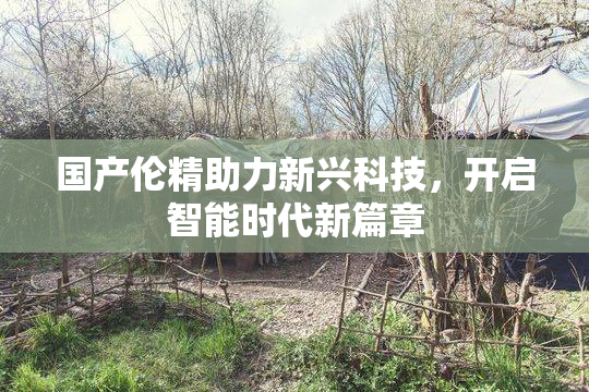 国产伦精助力新兴科技，开启智能时代新篇章