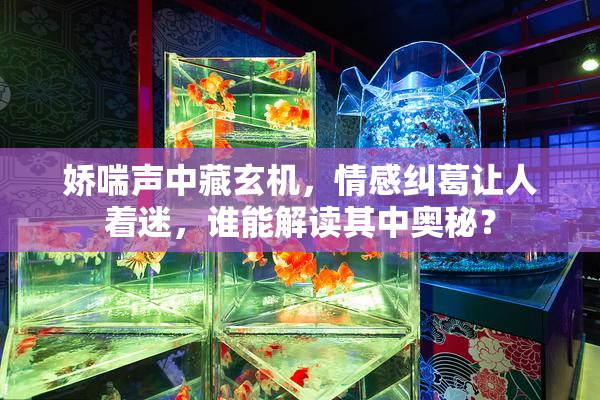 娇喘声中藏玄机，情感纠葛让人着迷，谁能解读其中奥秘？