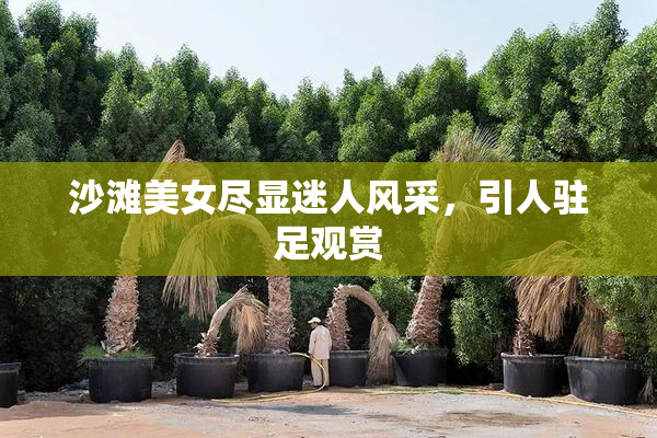 沙滩美女尽显迷人风采，引人驻足观赏