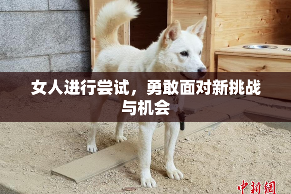 女人进行尝试，勇敢面对新挑战与机会