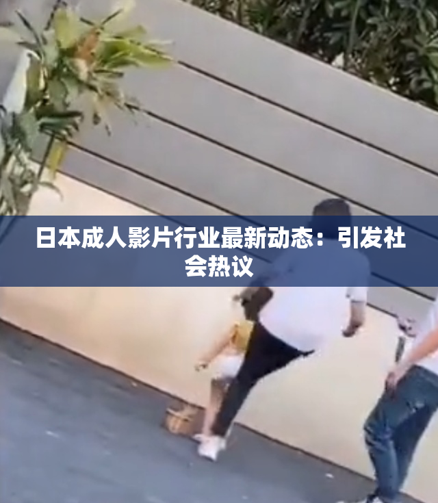 日本成人影片行业最新动态：引发社会热议