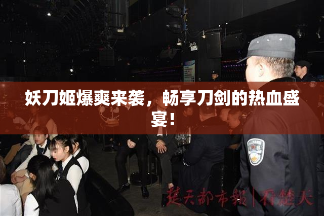 妖刀姬爆爽来袭，畅享刀剑的热血盛宴！