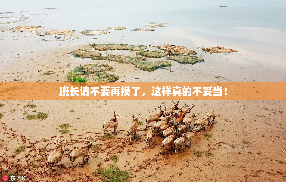 班长请不要再摸了，这样真的不妥当！