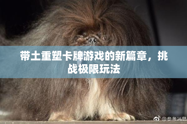 带土重塑卡牌游戏的新篇章，挑战极限玩法
