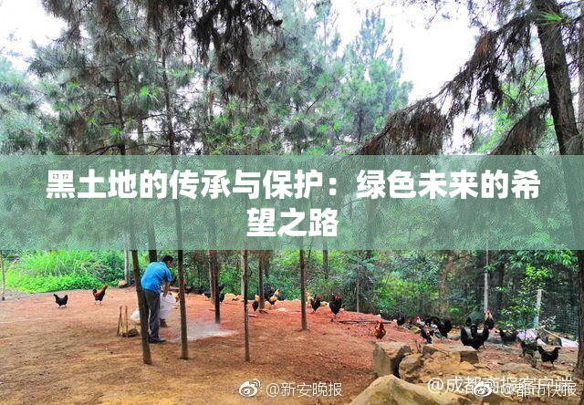 黑土地的传承与保护：绿色未来的希望之路