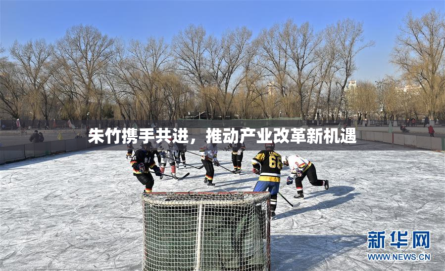 朱竹携手共进，推动产业改革新机遇
