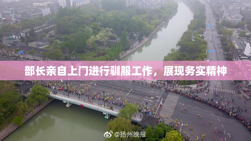 部长亲自上门进行驯服工作，展现务实精神